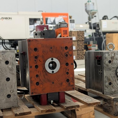 Pełna franczyza - Gallery