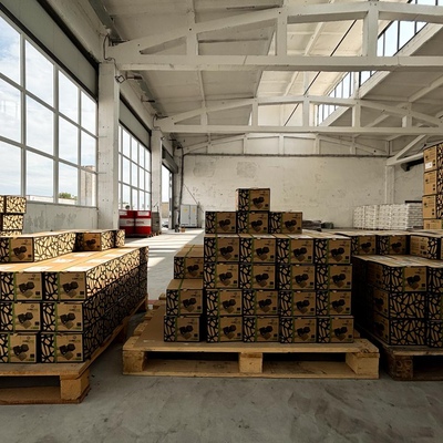 Pełna franczyza - Gallery