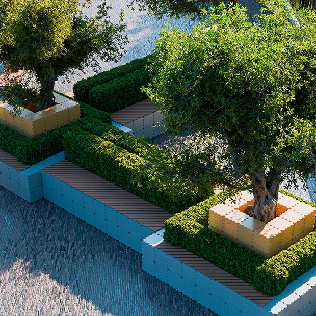 Jak sadzić drzewa i duże rośliny przy ograniczonym budżecie: Praktyczne rozwiązania dla przestrzeni miejskich i wewnętrznych