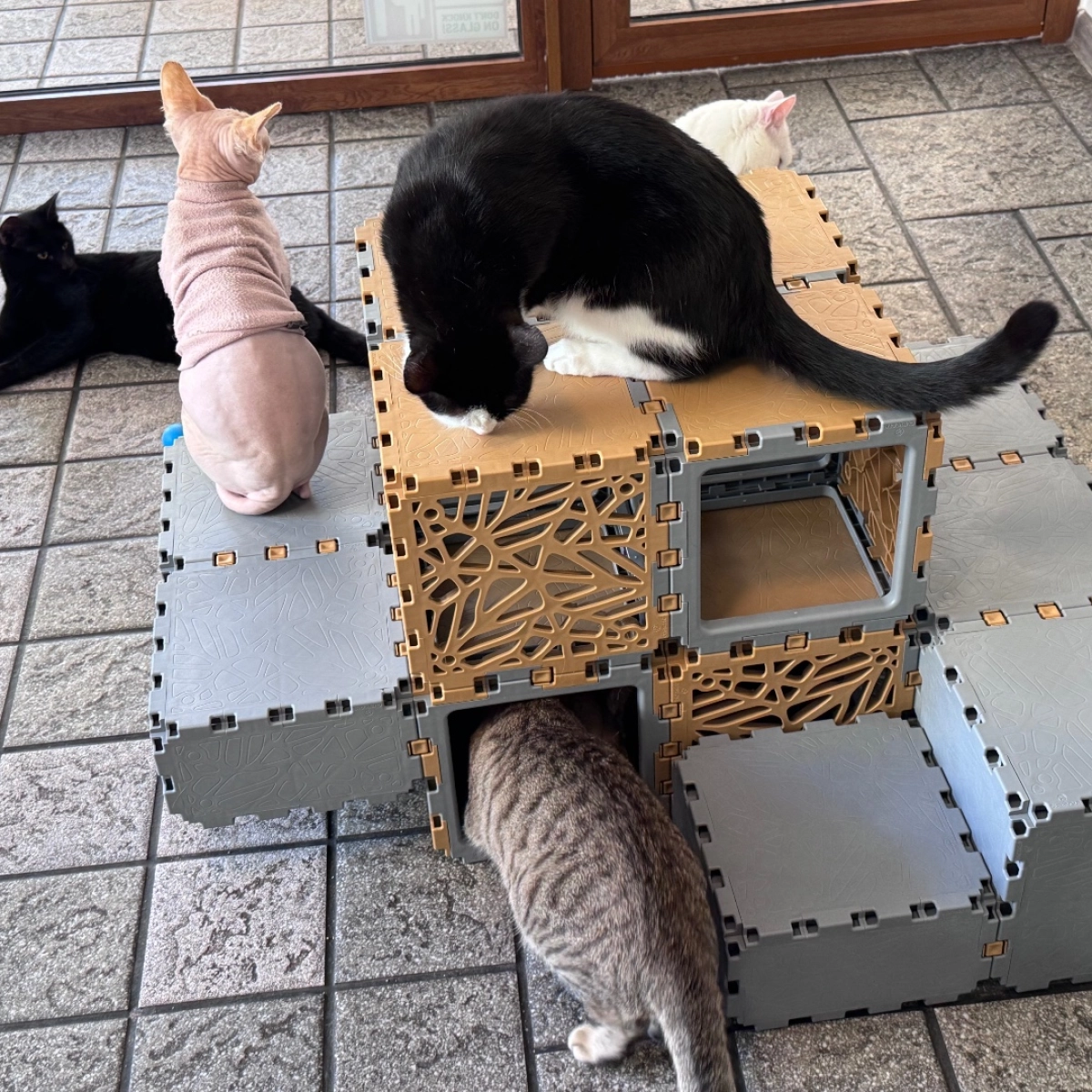 Cubik Modular Cat Lounge, additional view