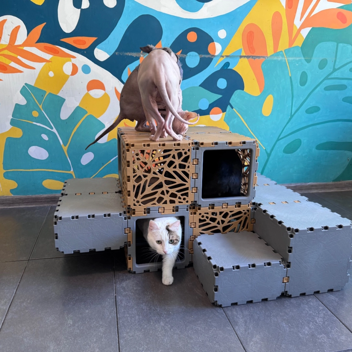 Cubik Modular Cat Lounge, additional view