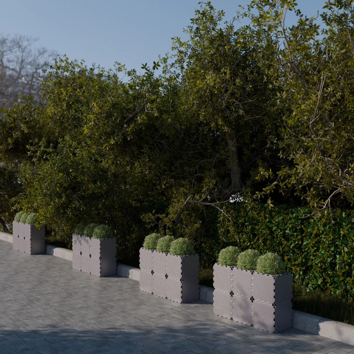 Grey Cubik linear planters in a row with round shrubs