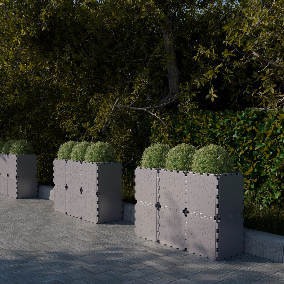 Grey Cubik linear planters with round shrubs along a path