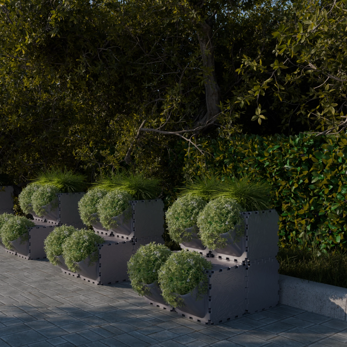 Sadzarka dwupoziomowa Flora