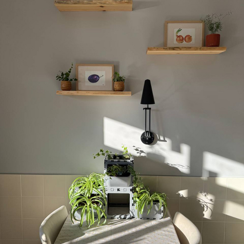 Modular Planter Set (4 Cubes) photo